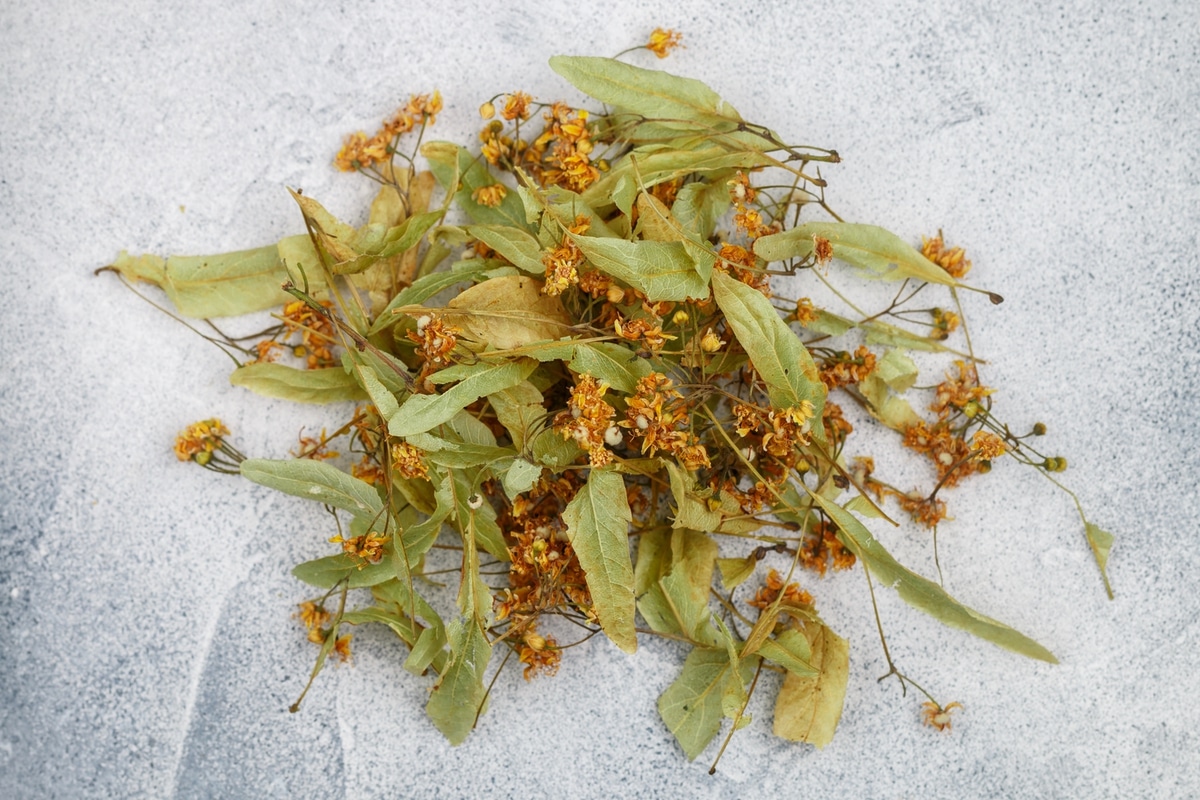 dried linden flowers for tea
