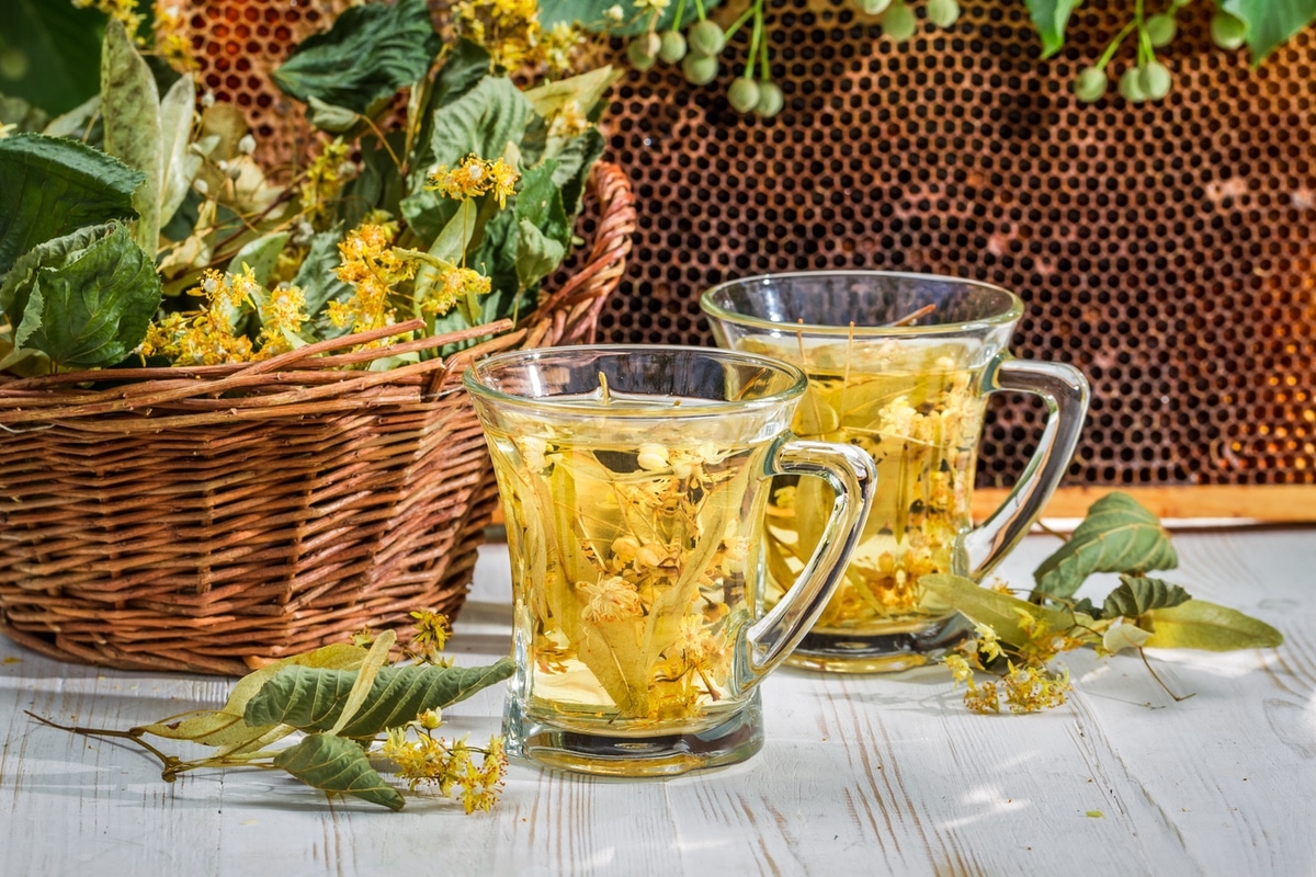 Linden flowers tea